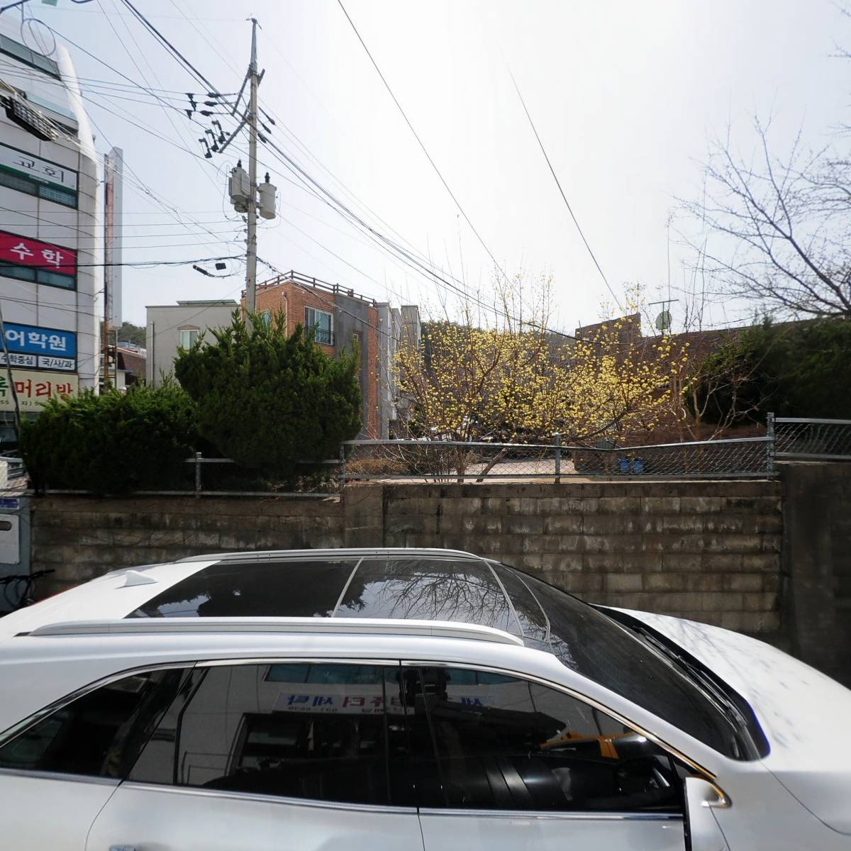 서진여행사주식회사_3