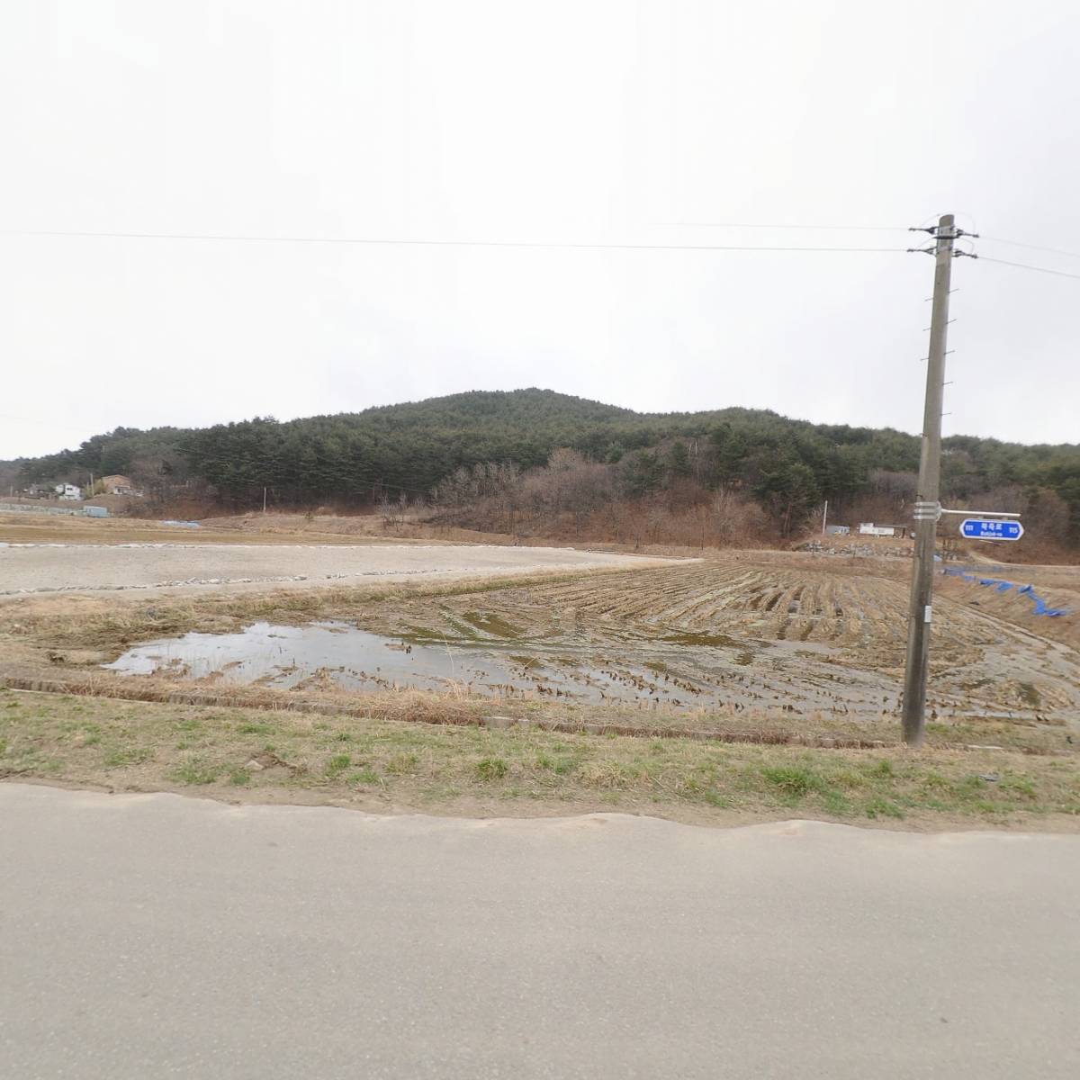 힐러스_3