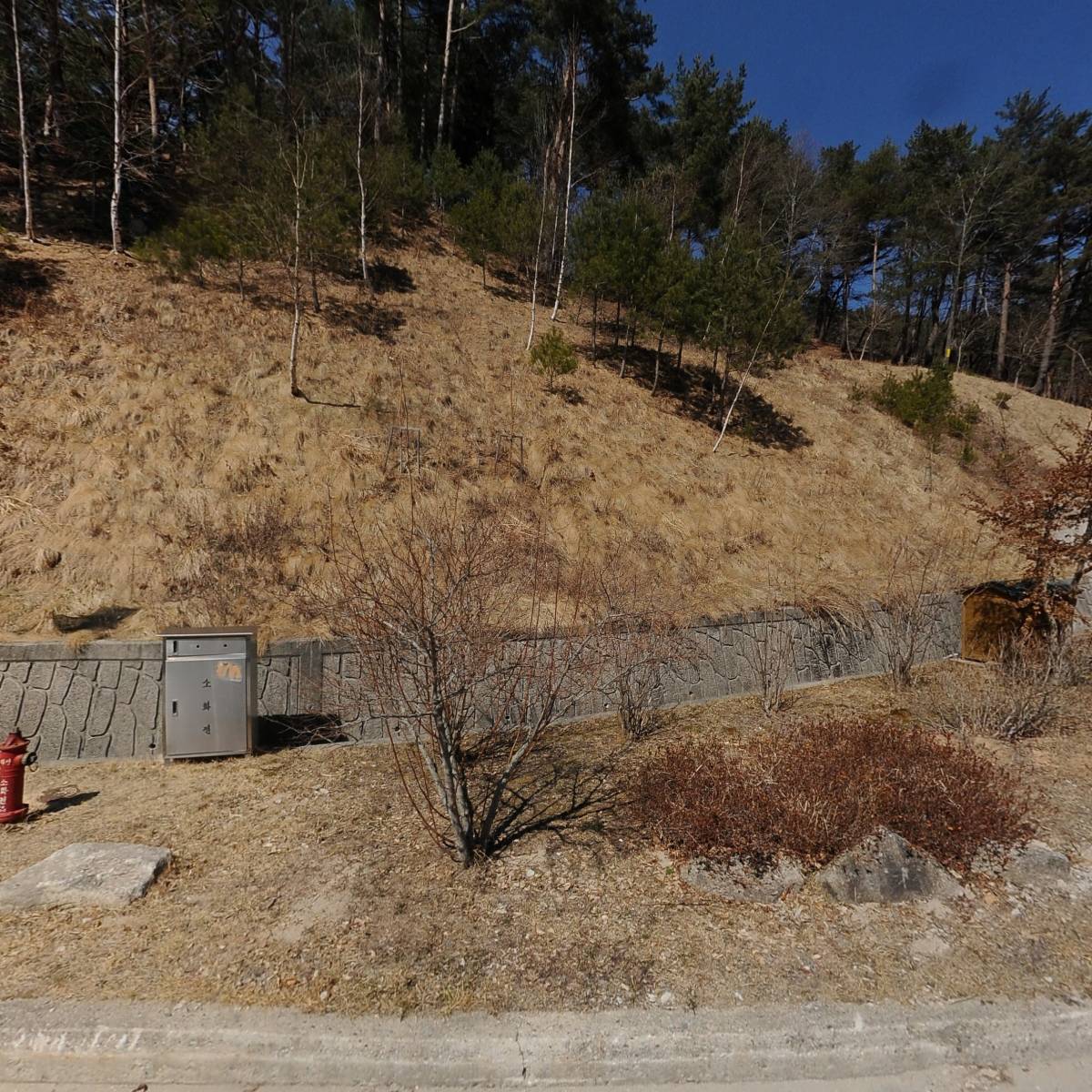 강원도산림과학연구원동부지원_3