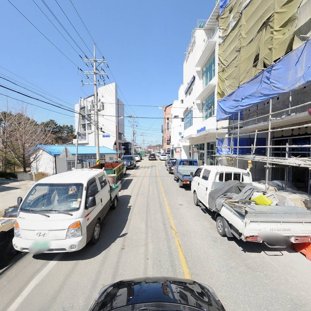 해파리_4