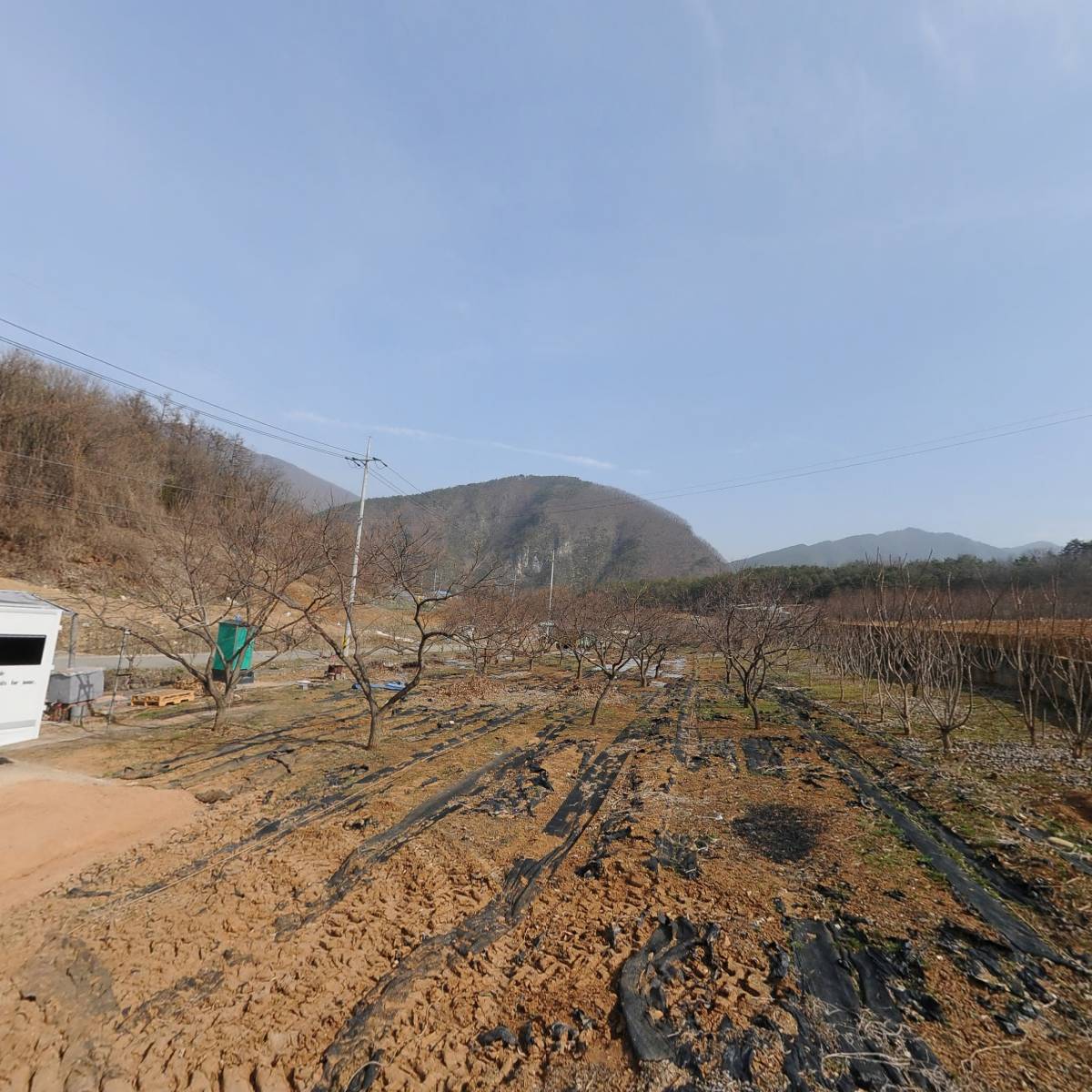 영월복령상회_3