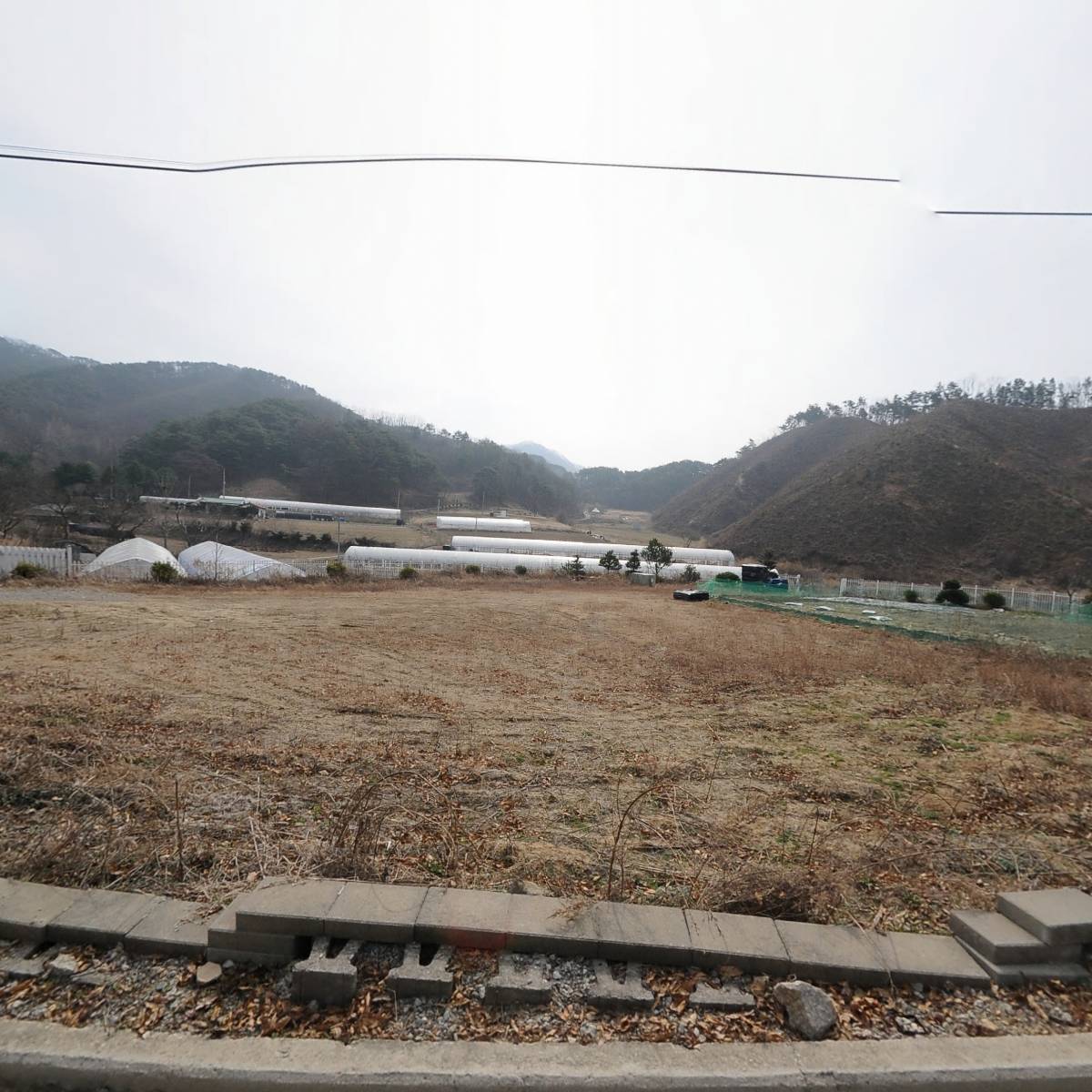 오이때
