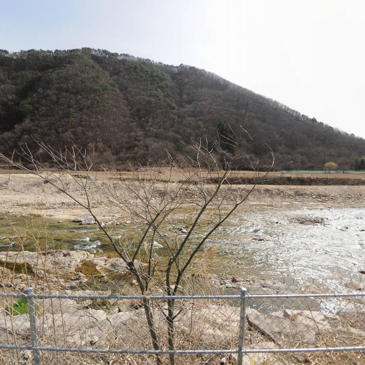 대원