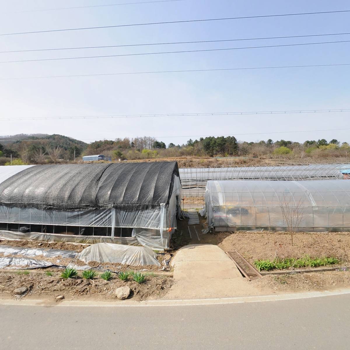 대한국불교조계종  송정사_3