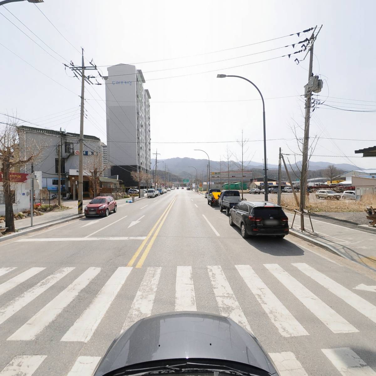 주식회사고냉지종묘사_4
