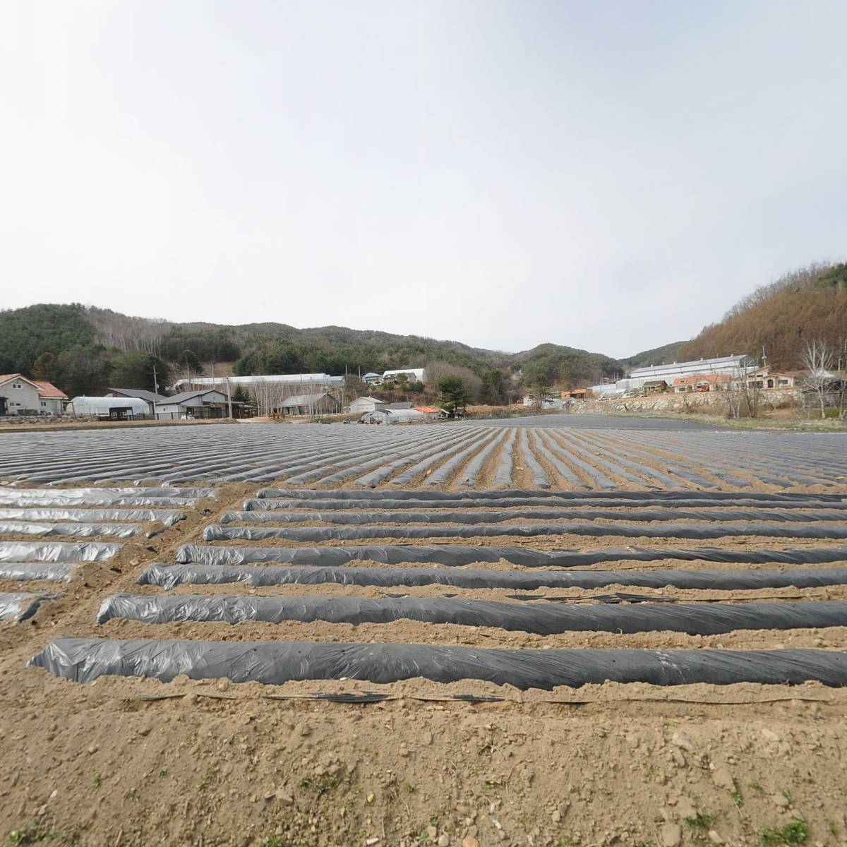 구비구비_3