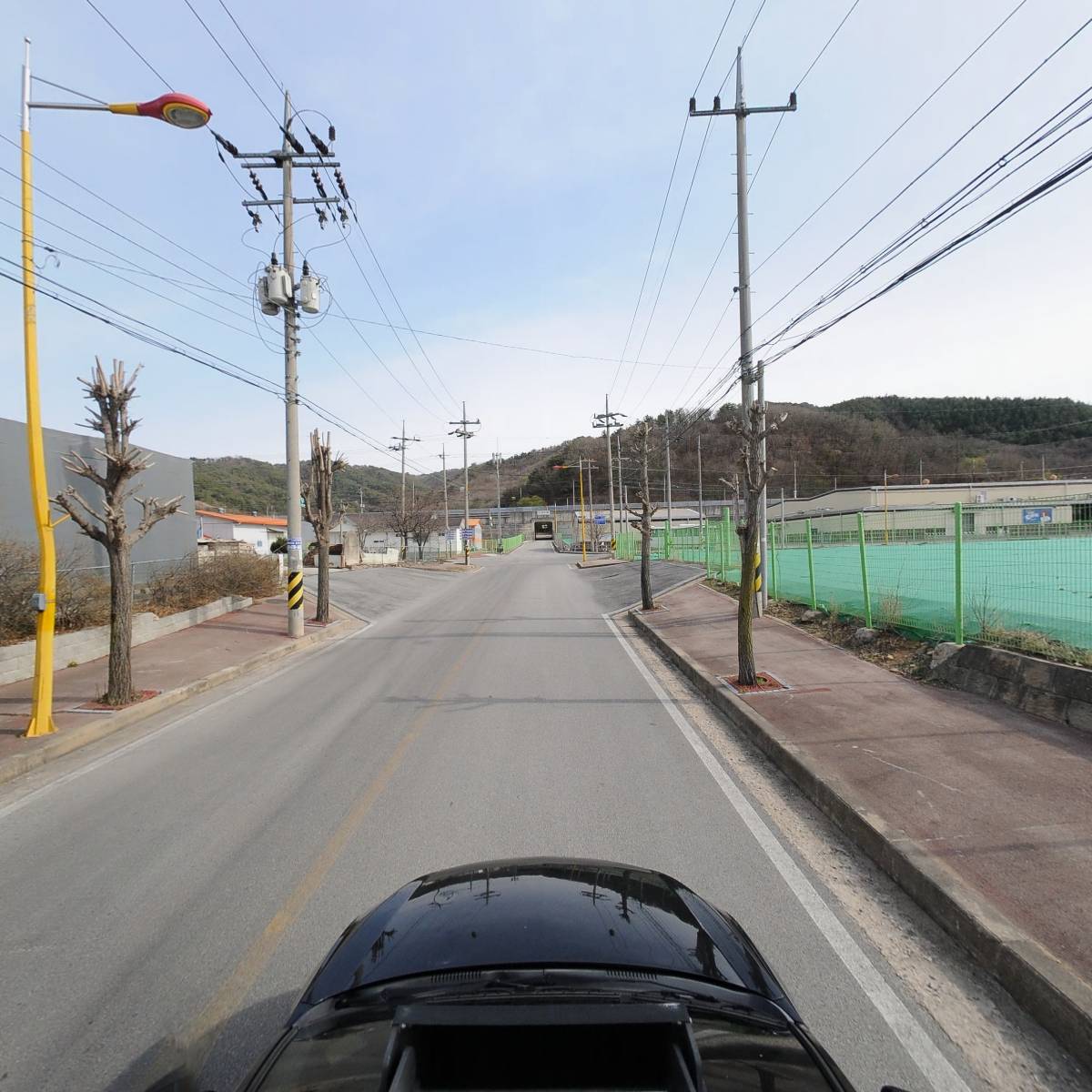 고려인삼_4