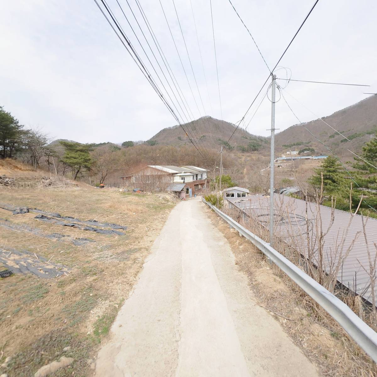 화악산가든민박 분재원_2