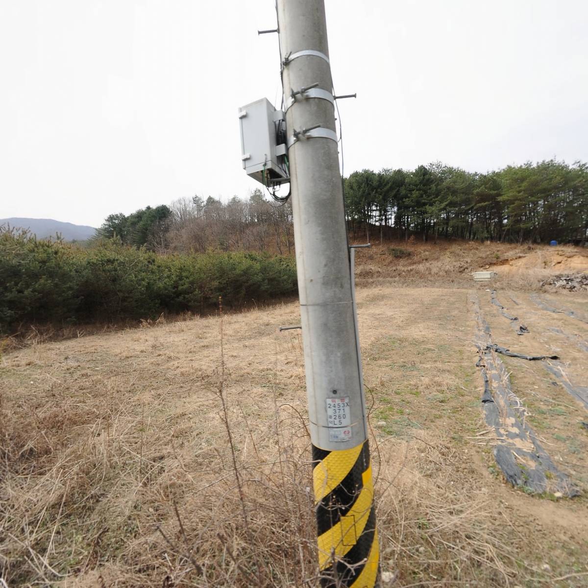 화악산가든민박 분재원