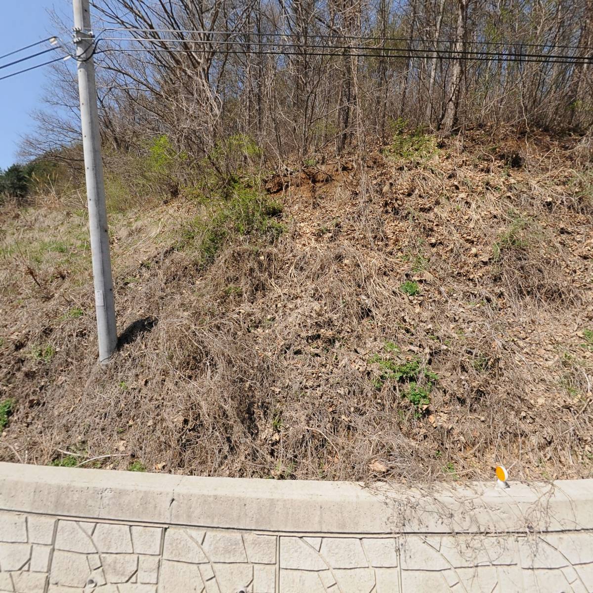 그자리 야영장