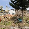 대한예수교장로회 노일교회