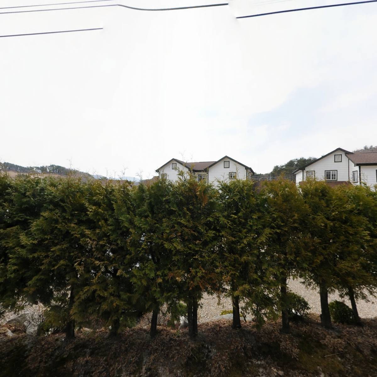 살바토레펜션