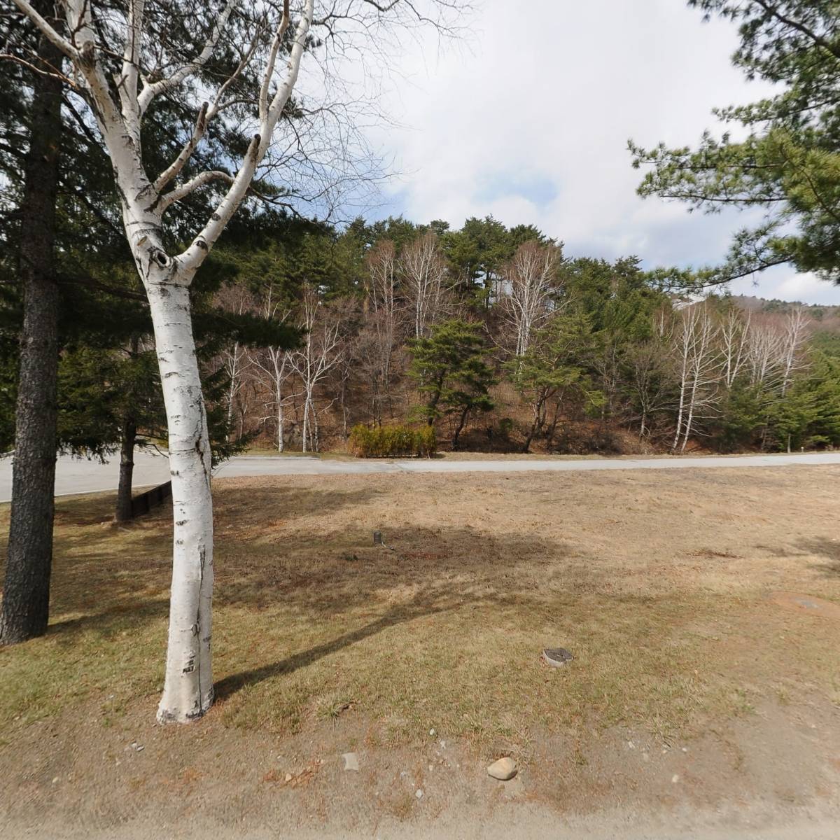 가비터프