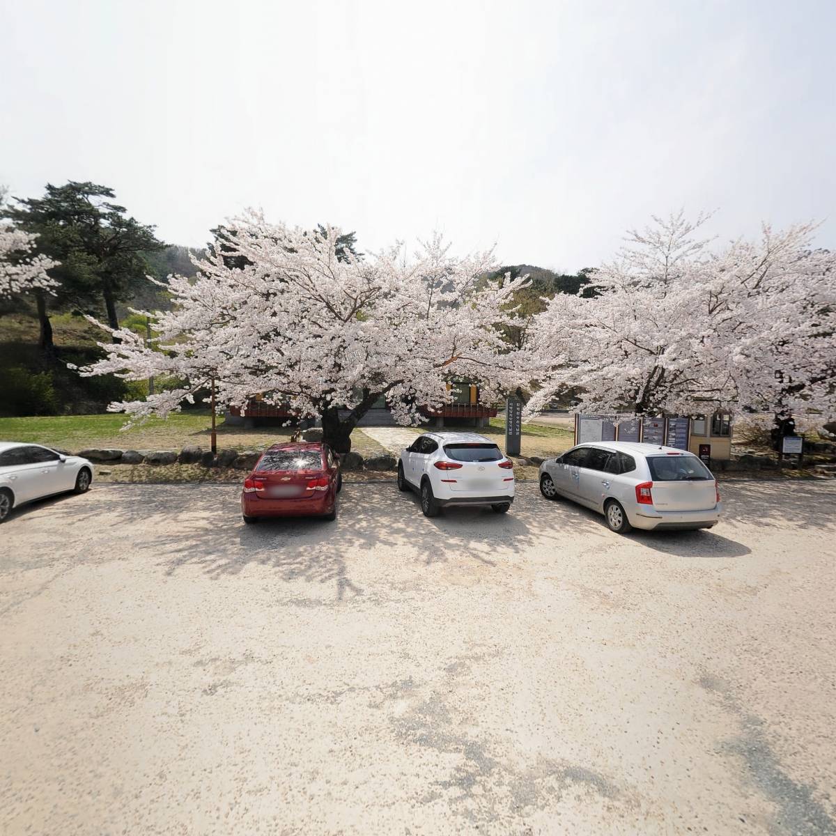 대한불교조계종건봉사_3
