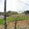 양양군 손양면 우암리 마을회