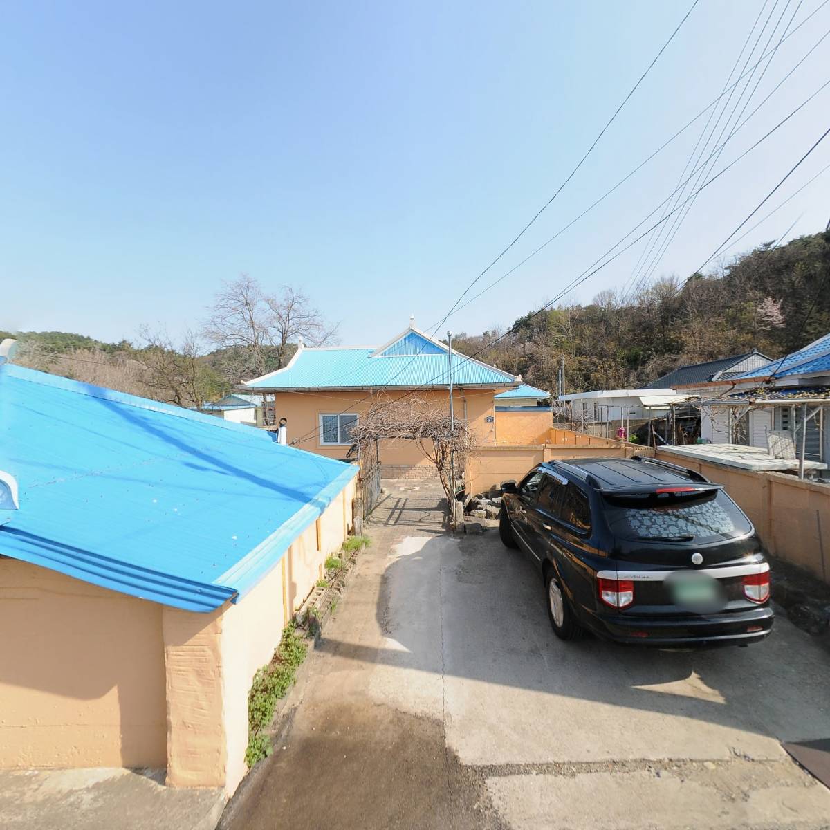 닥터하우스