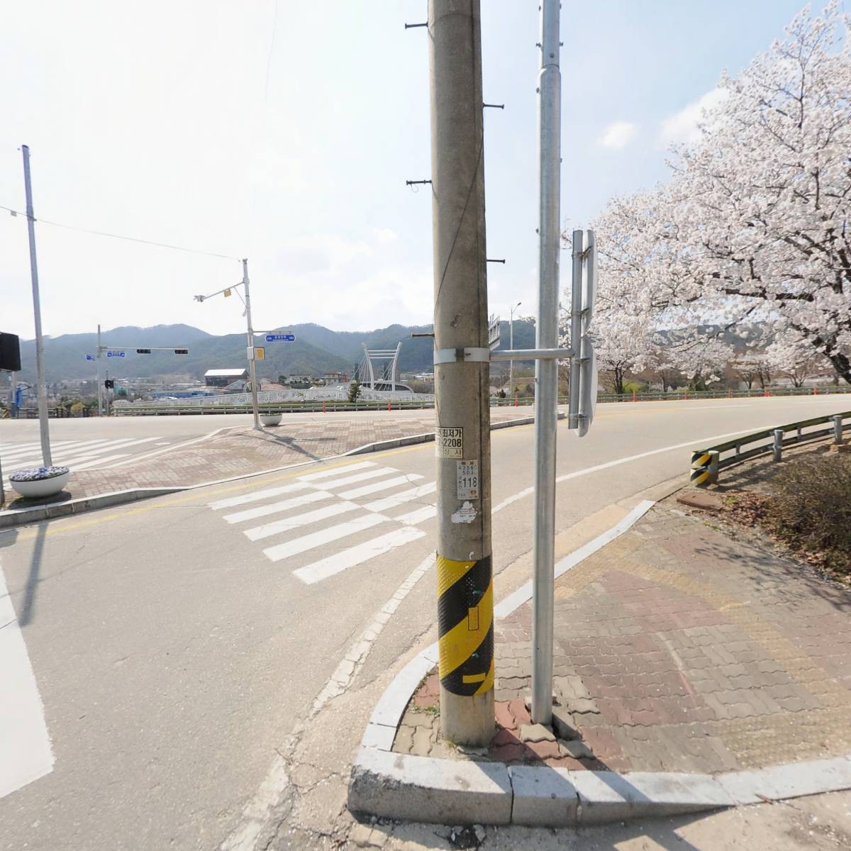 붕어엑기스전문점