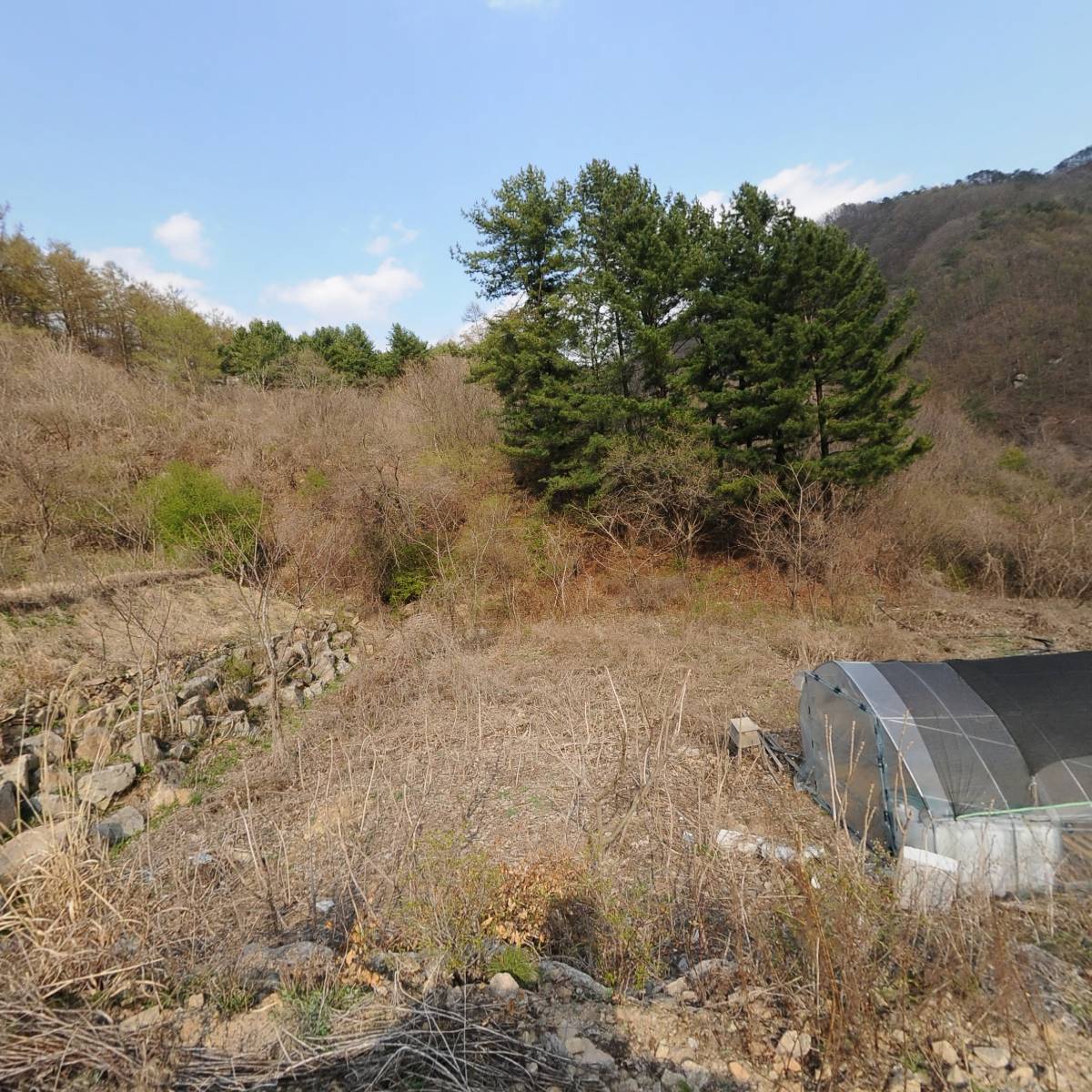 청일문학 문인협회