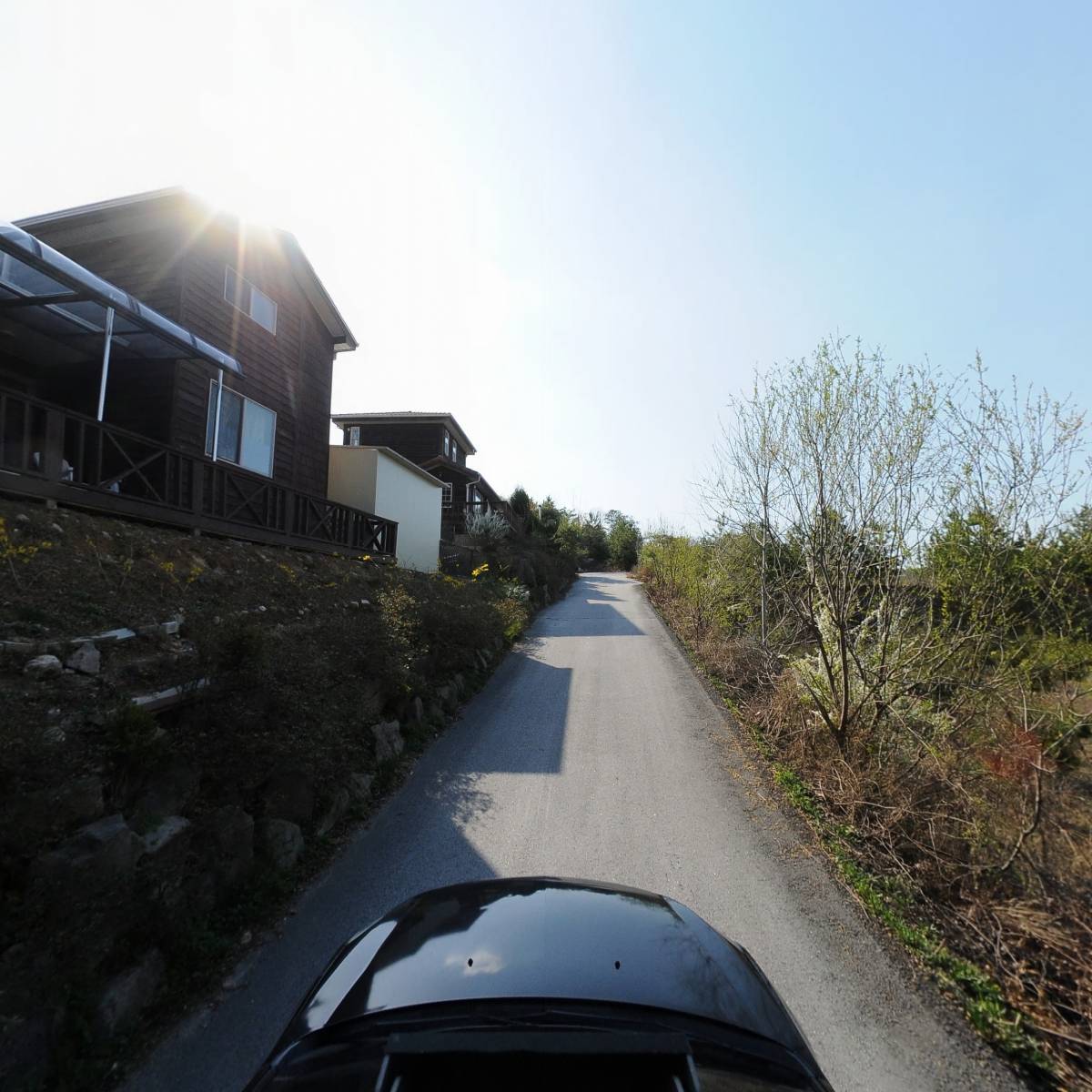 5퍼센트_4