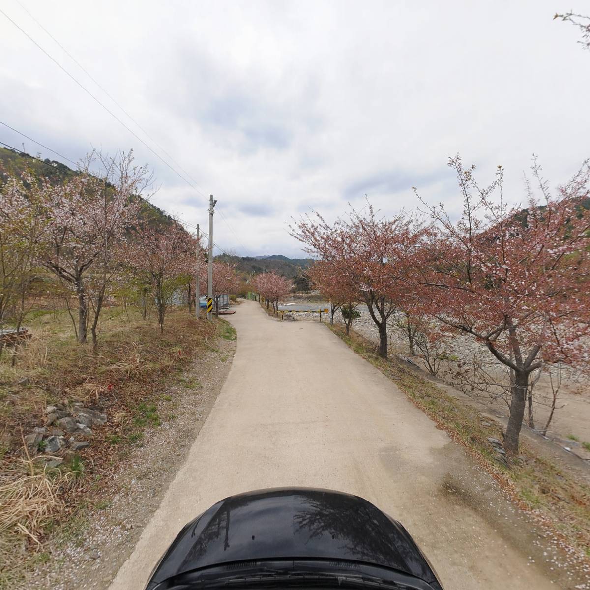 삼척안뜰캠핑장_4