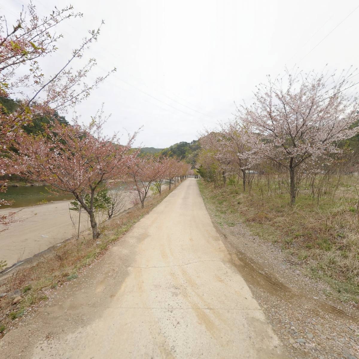 삼척안뜰캠핑장_2