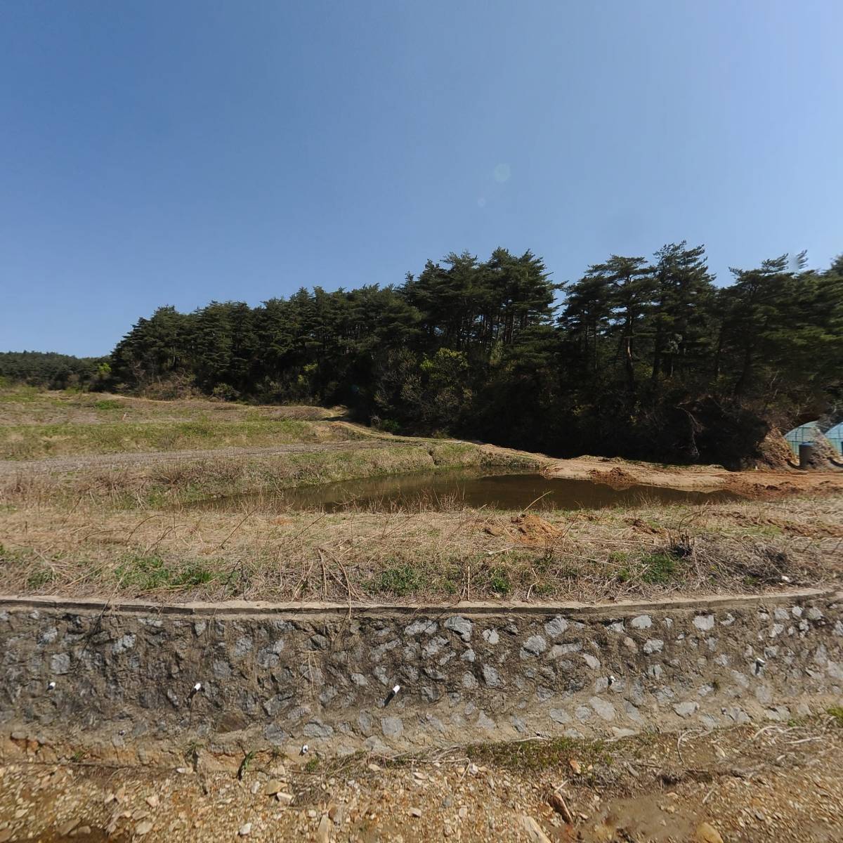 바로세움버섯 농업회사법인(주)