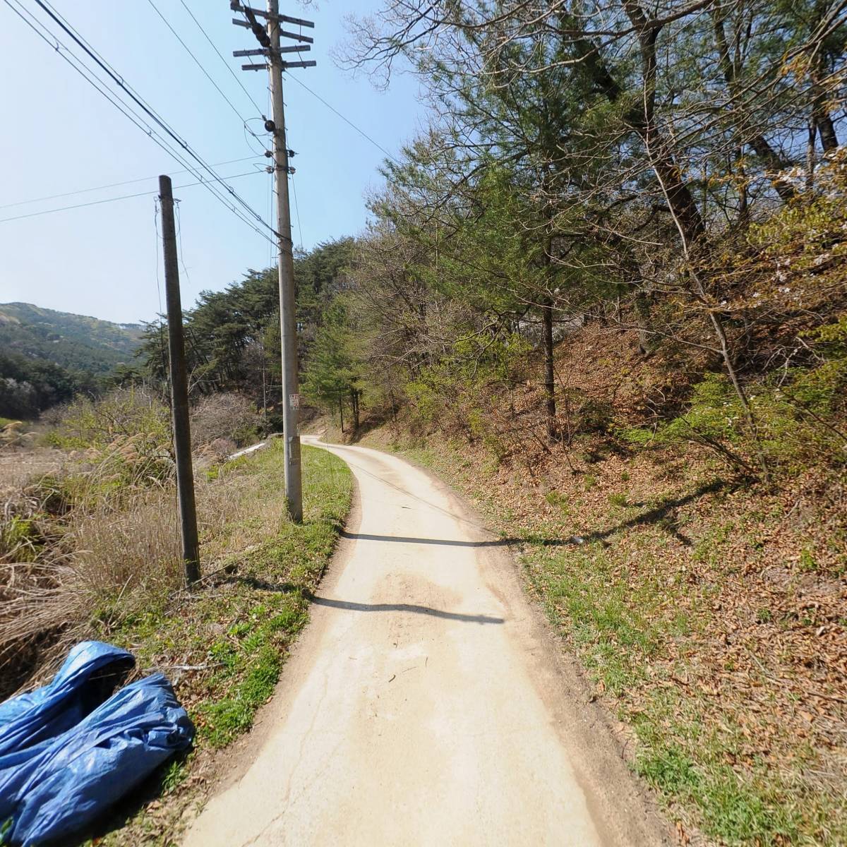 둥이네 잣농산_2