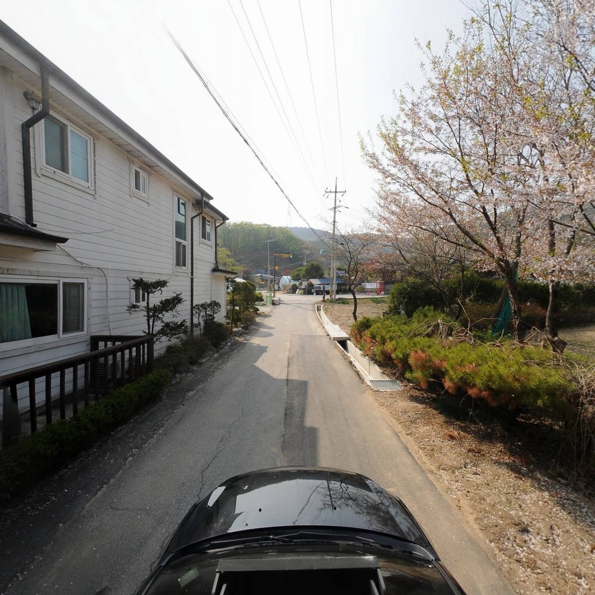 맹골마을영농조합법인_4