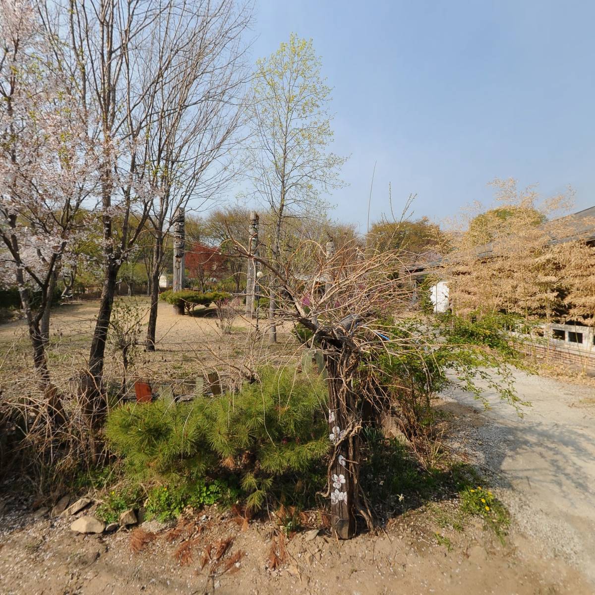 맹골마을영농조합법인