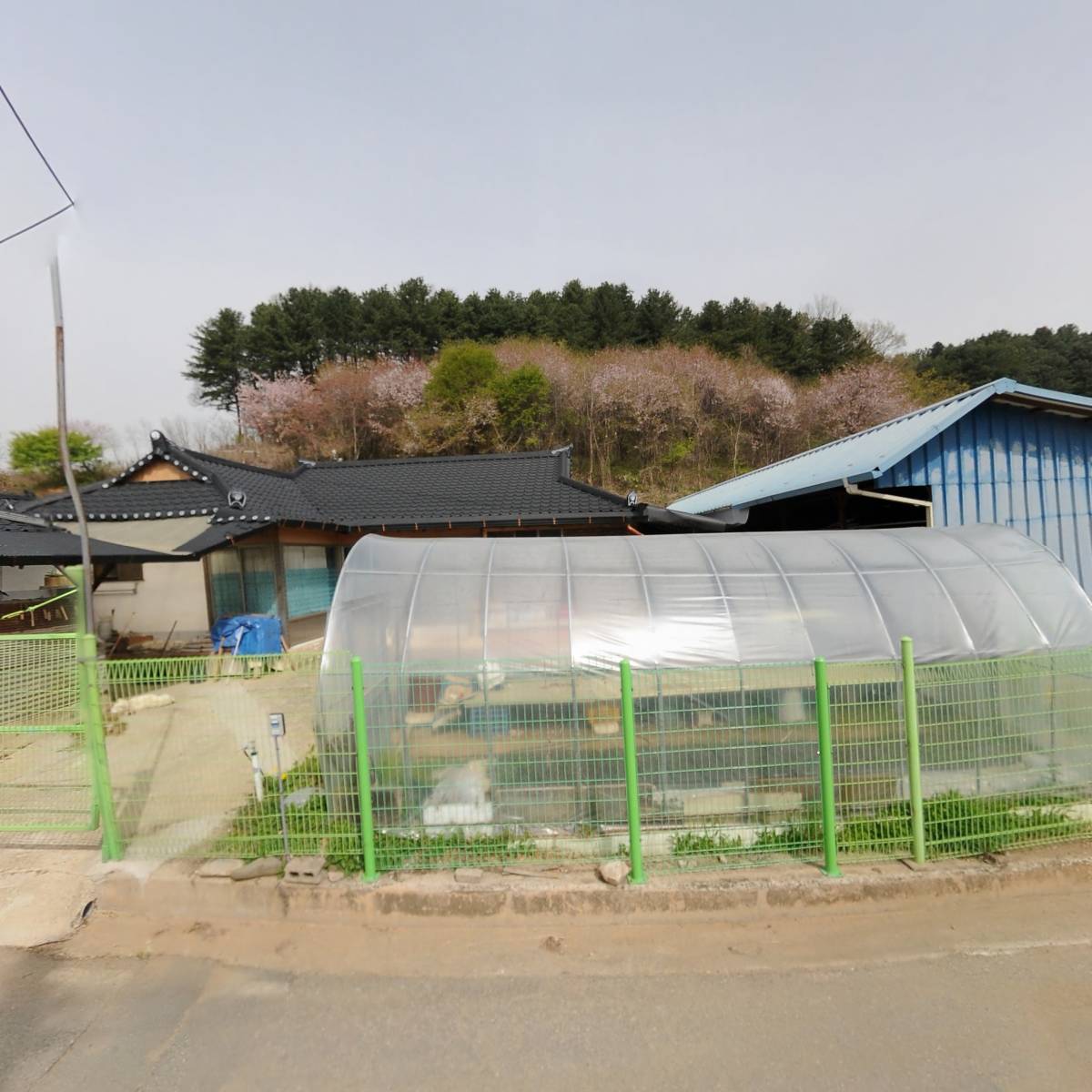 홍천군 게이트볼 협회_3