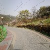 하늘농원(sky farm)_2