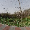 하늘농원(sky farm)