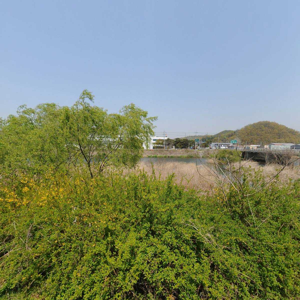 건영물산