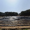 곰배골길146·29