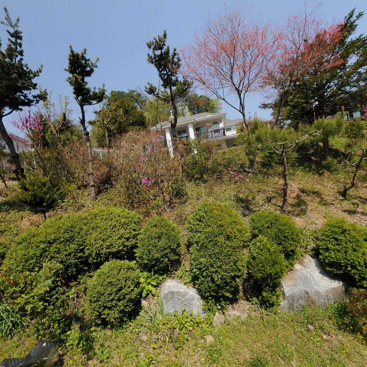 백악관펜션민박