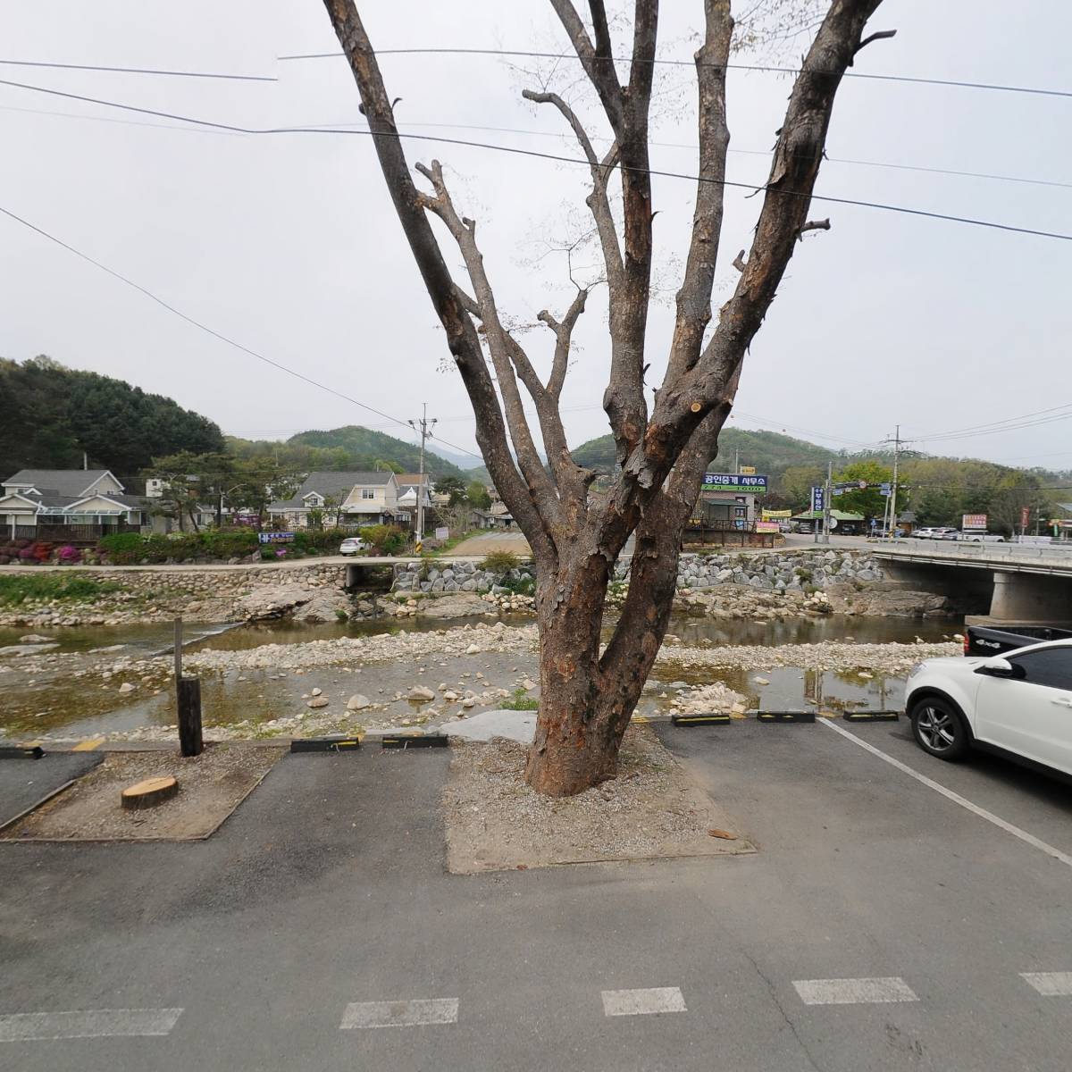 명재석 커피 로스터스