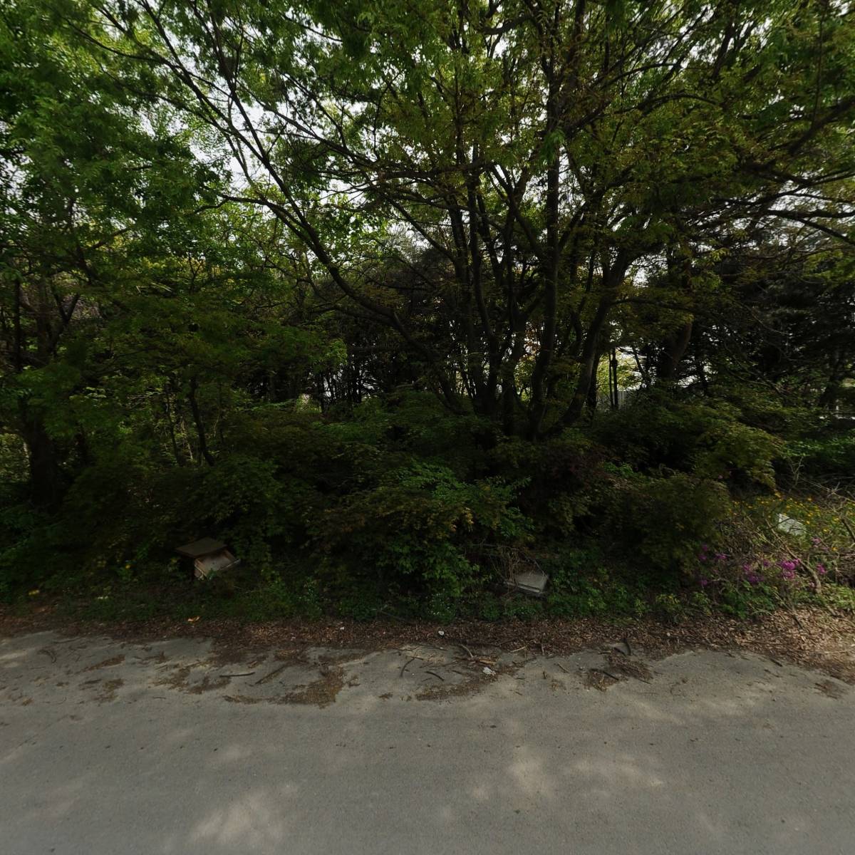 오아시스물류 주식회사_3