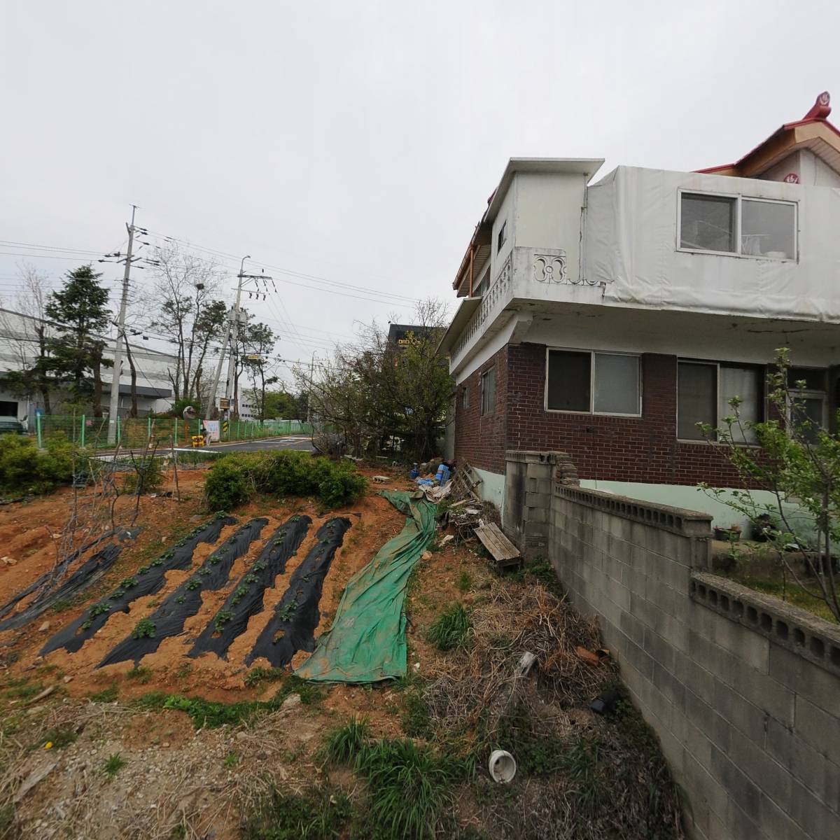 서울쥬노