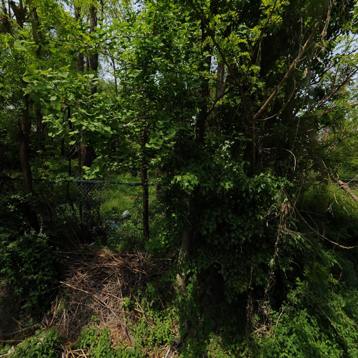 티앤비(T&B)스포츠