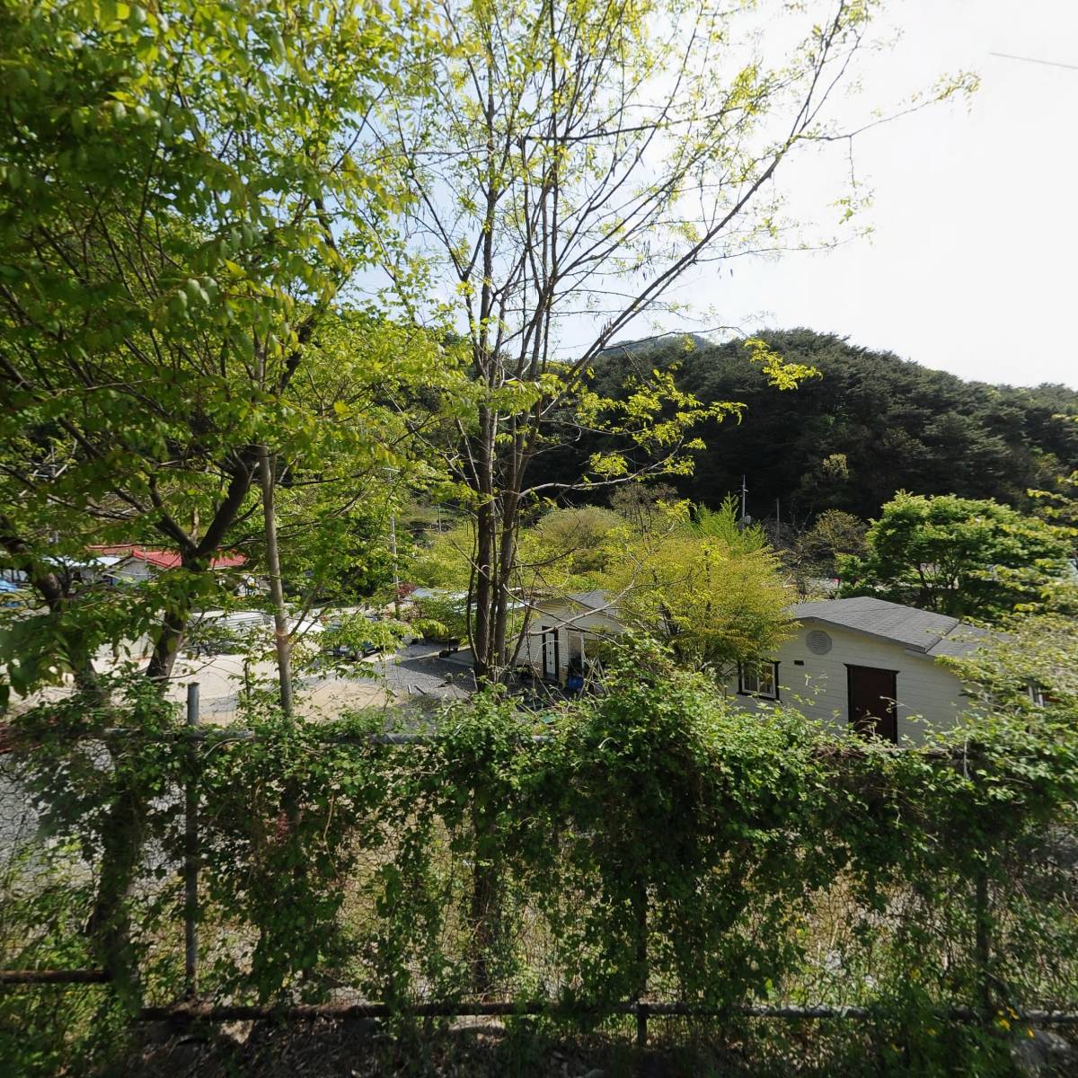 용문골식당