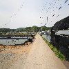 유명미꾸라지_2