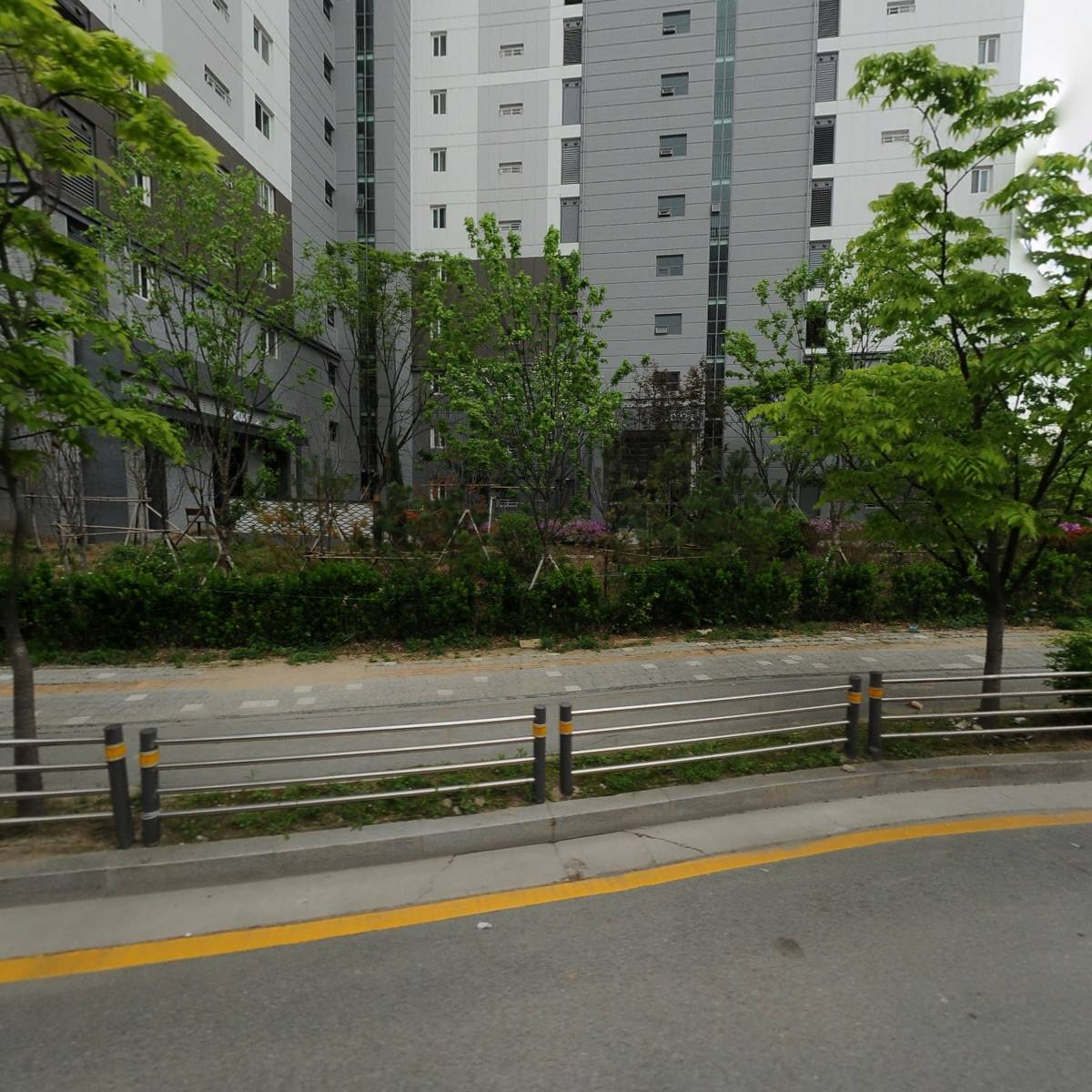 지와이에스