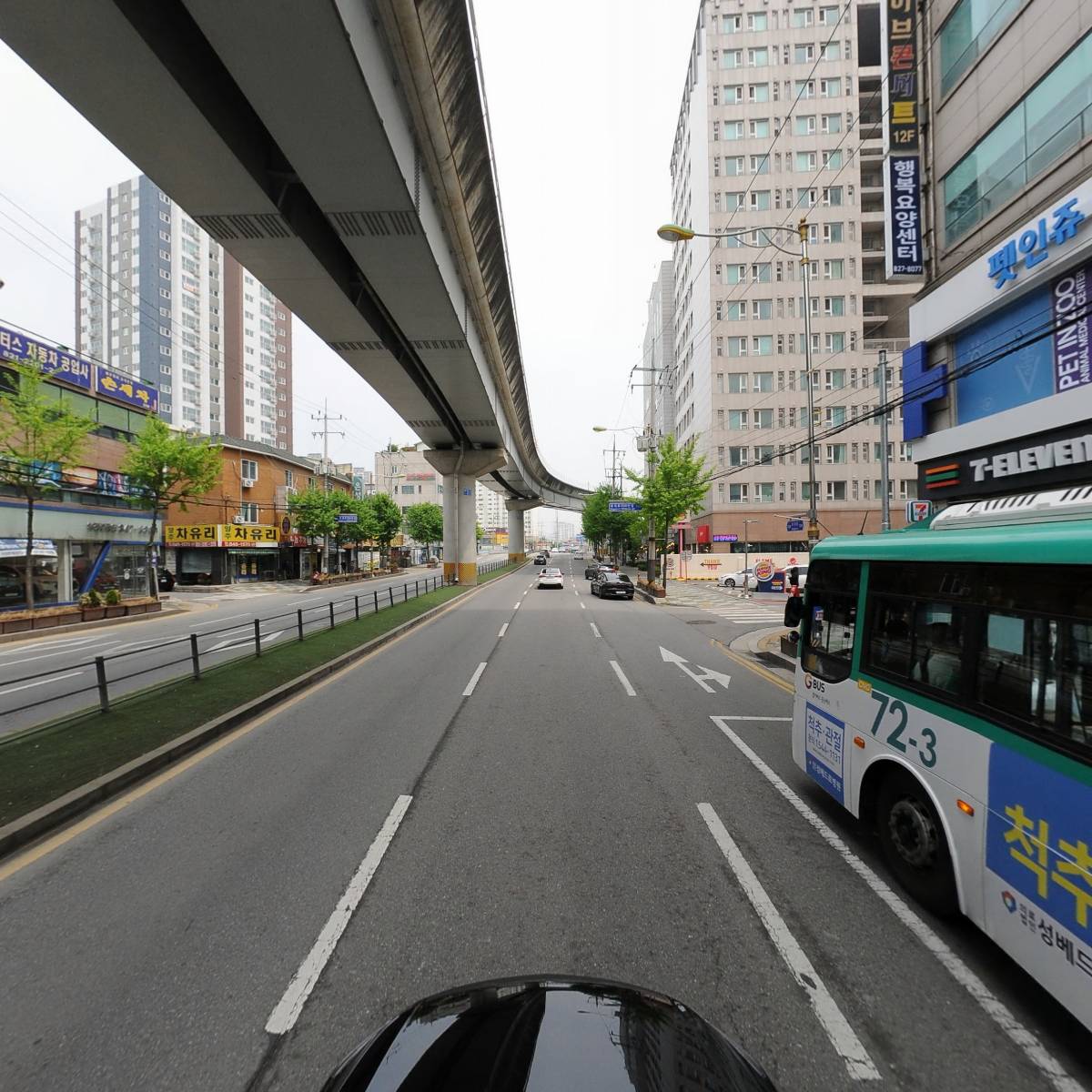 서정대학교 부설 반려동물센터(펫인쥬카페)_4