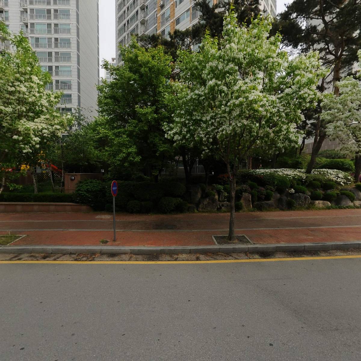 한국체대 원일 태권도