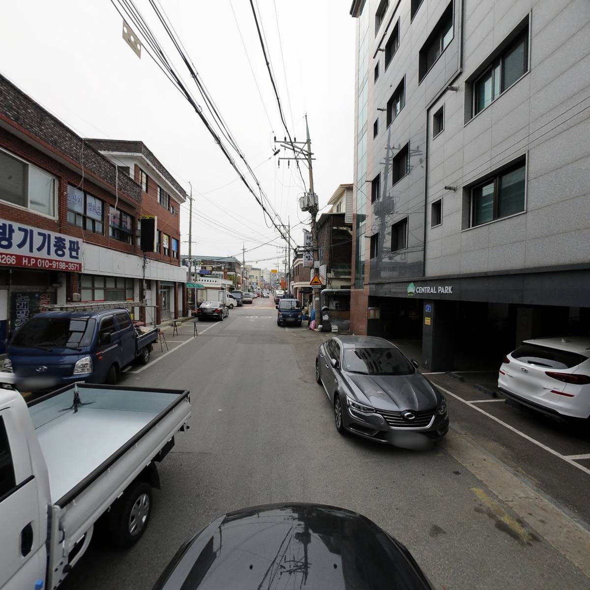 리틀게코 파충류샵 오산점_4