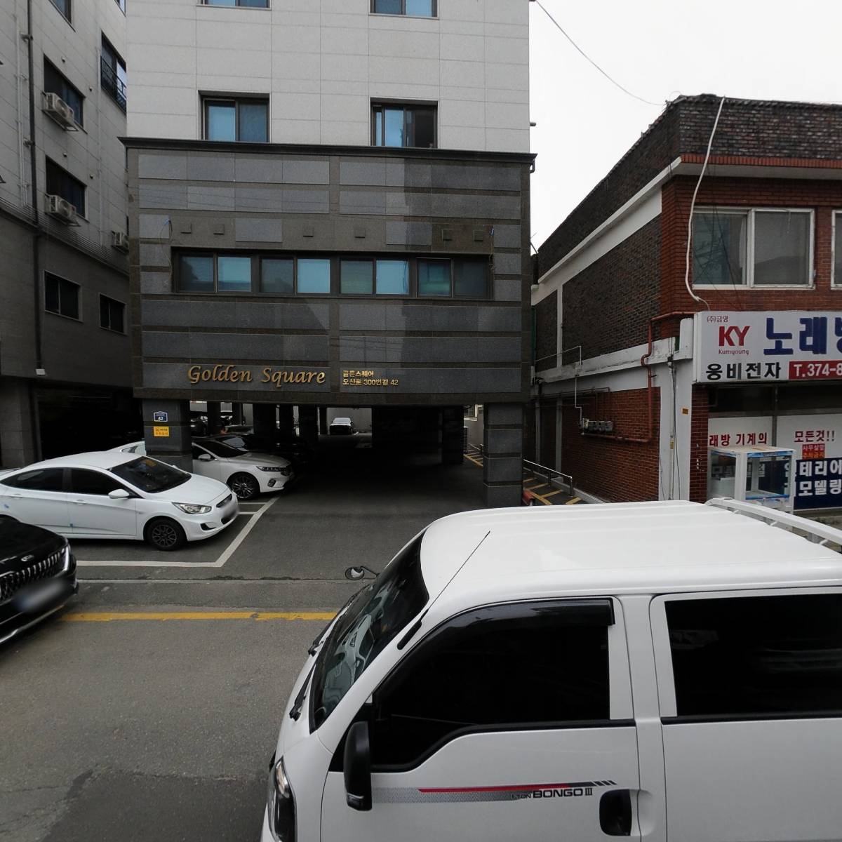 리틀게코 파충류샵 오산점_3