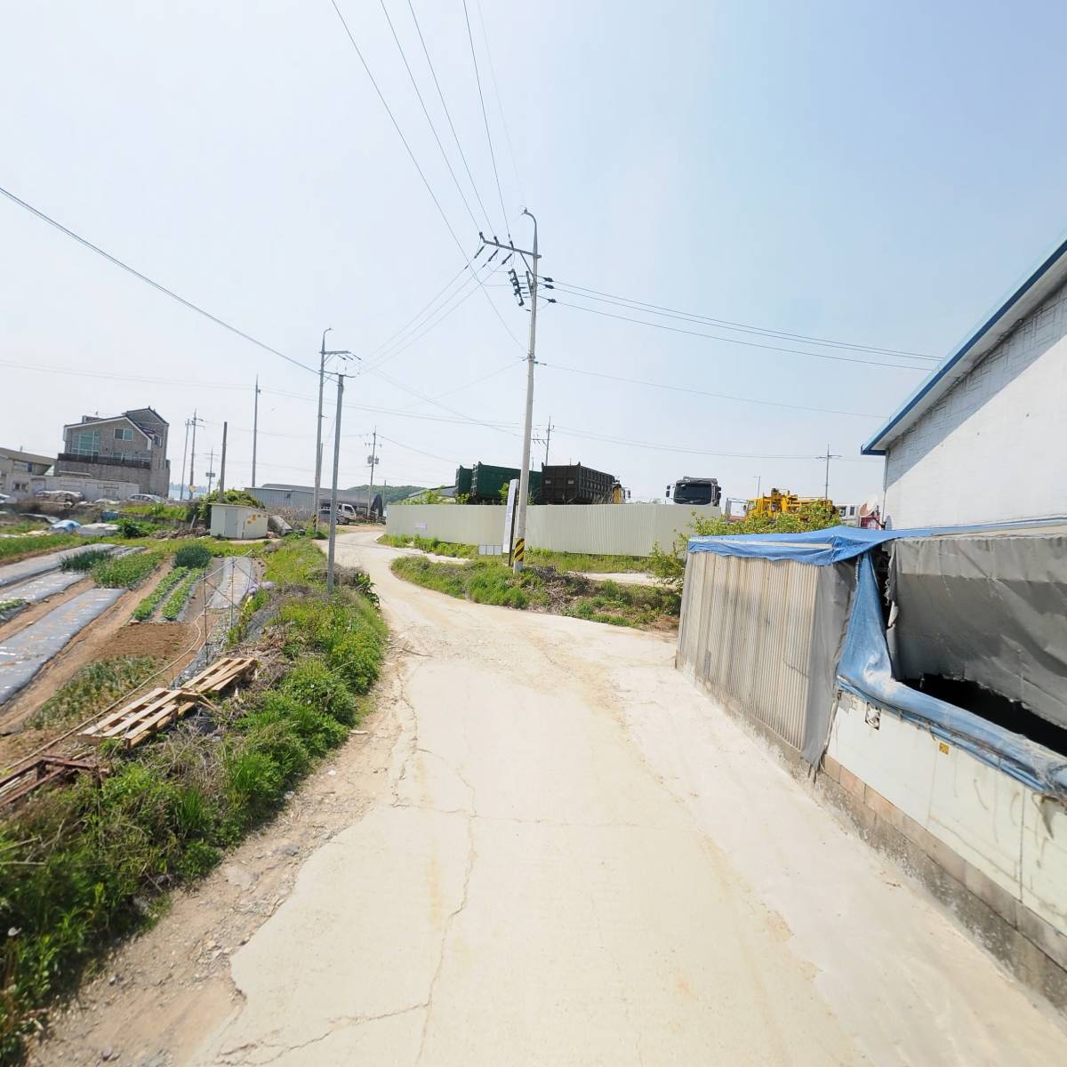 대성단조_2