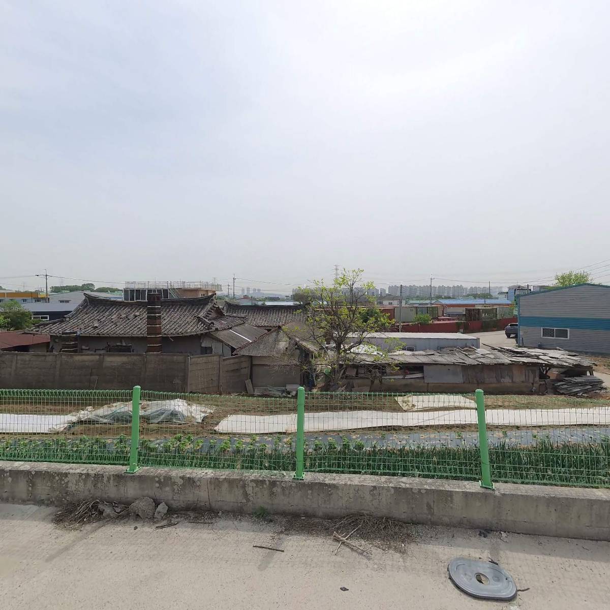 대인커머스(주)