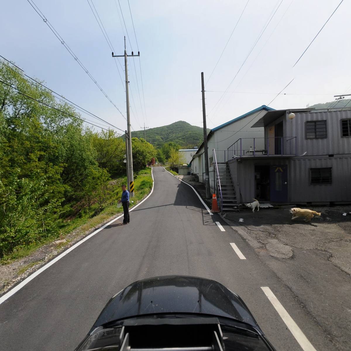 소프달링_4