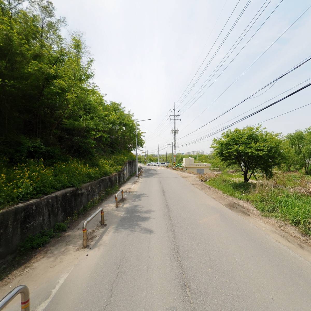 리플모아_2